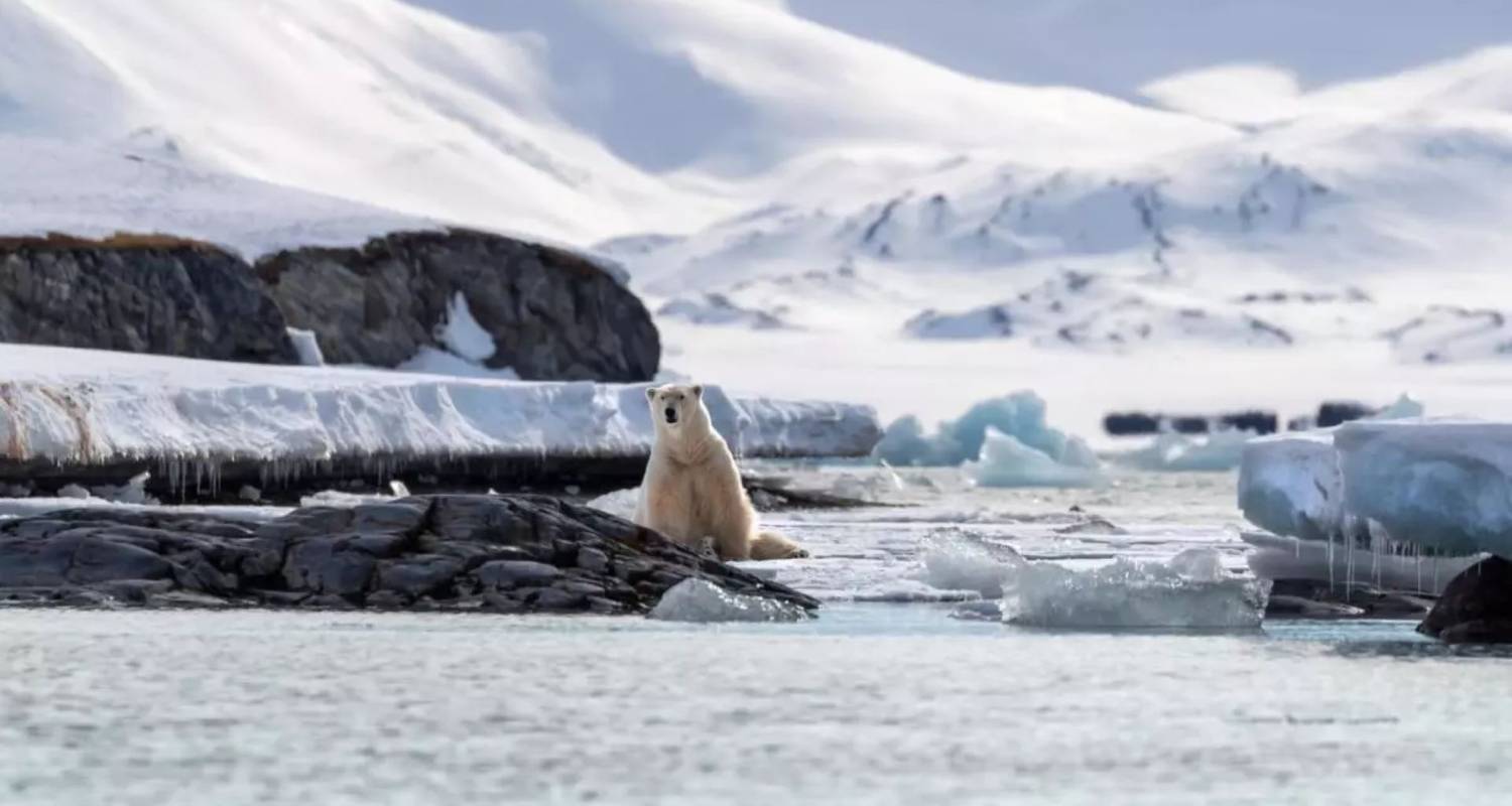 GREAT NATURE AND WILDLIFE EXPEDITION AROUND SPITZBERGEN, max. 12 passengers on board