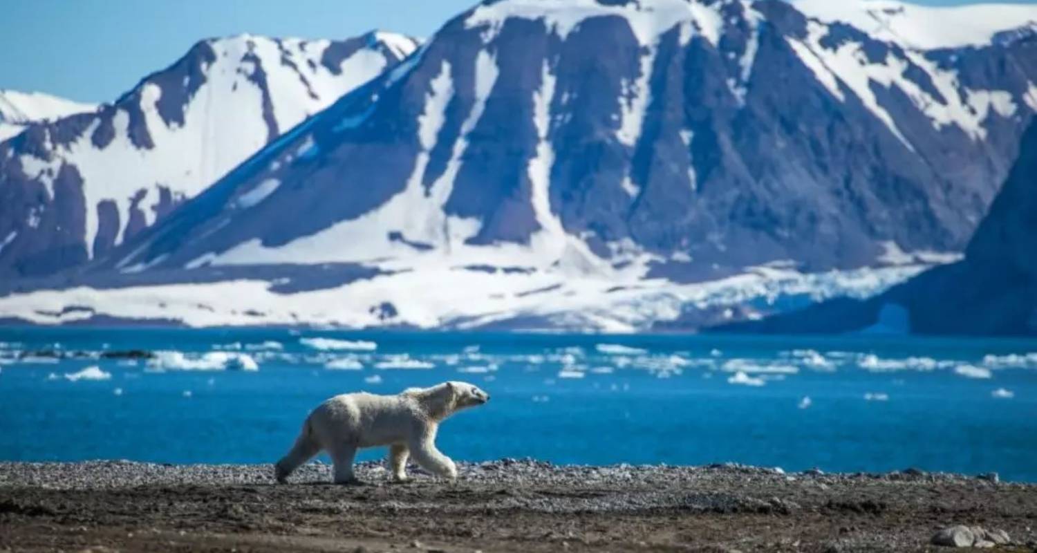 Amérique du Nord : Circuits croisière sur l'océan 2024/2025