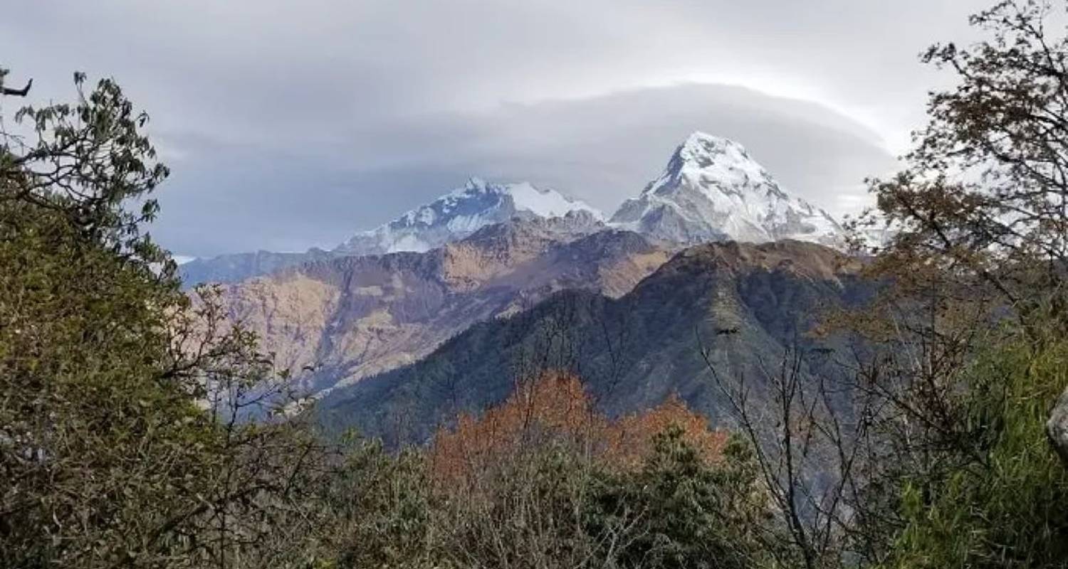 Trek Annapurna Ghorepani Poon Hill - Nepal Social Treks