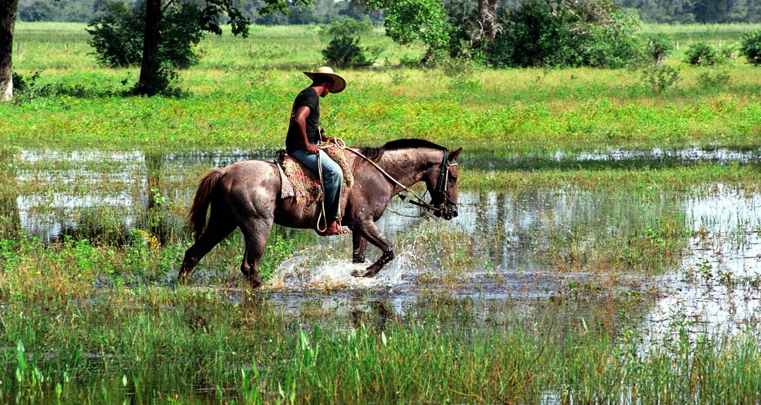 Pantanal & Amazon Wildlife - Nattrip