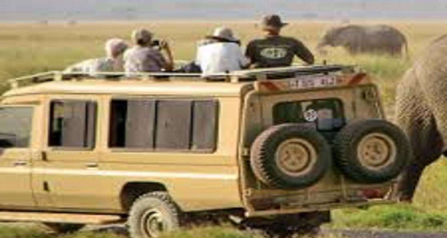 Mejor Safari Compartido por Tanzania y Aventuras en las Fuentes de Kikuletwa - Kilingeadventures