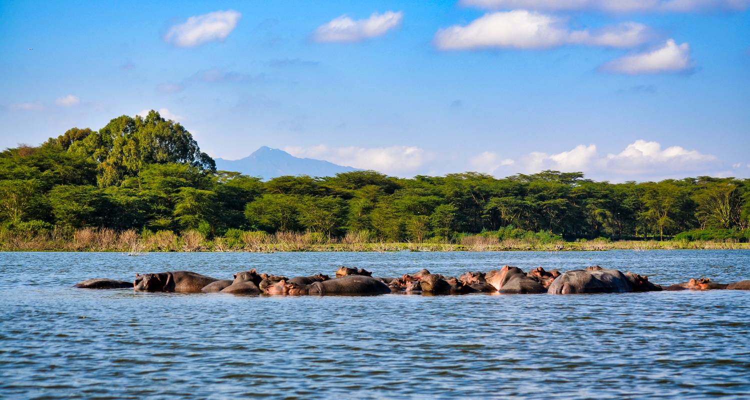 Les Plaines d'Afrique - Safari au Kenya (de Nairobi à Amboseli) (2025) - Collette