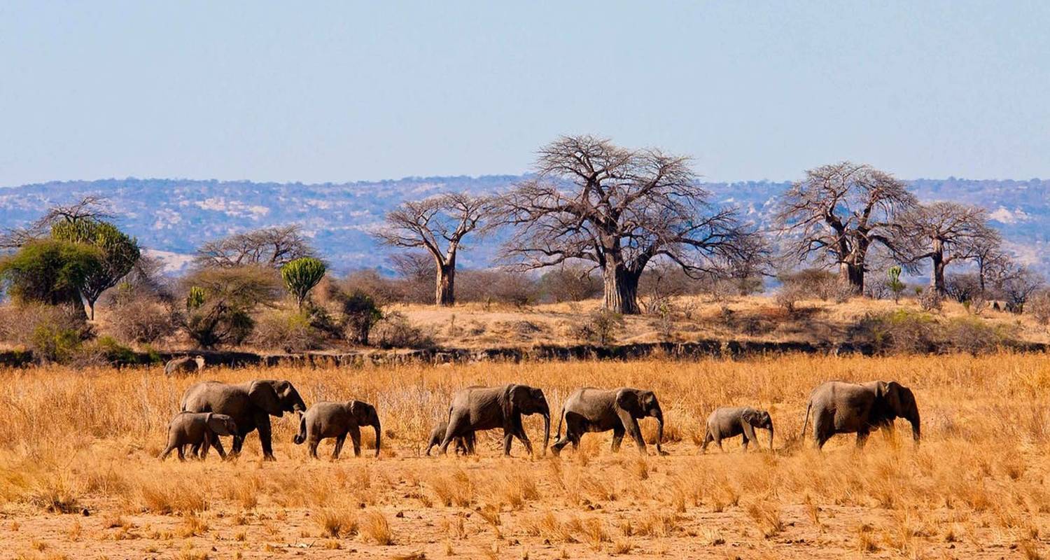 6-Day Luxury Safari in Africa's Best Parks - Lights on Africa Destinations & Safaris