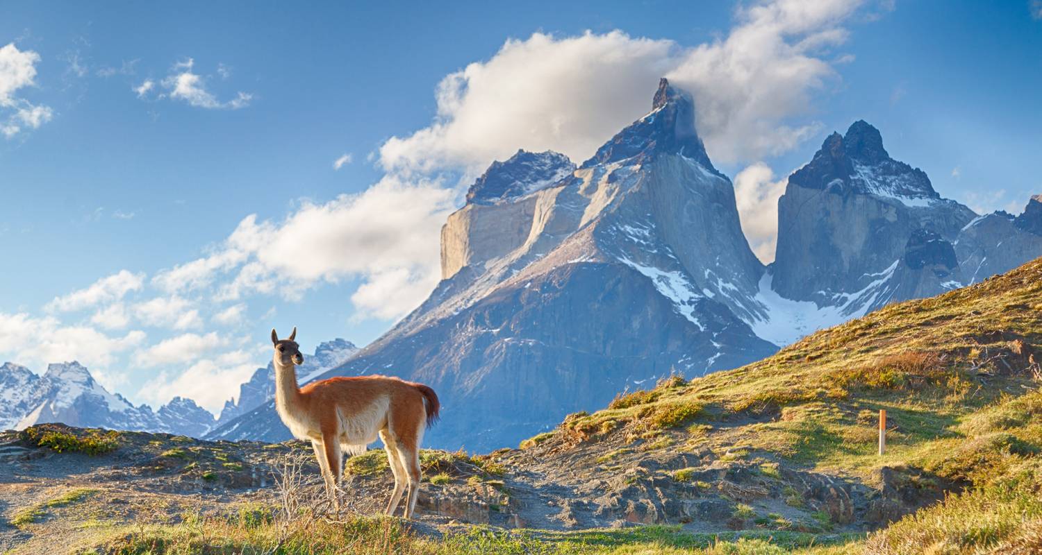 Chile Road trip: Majestic glaciers & wild Patagonia - journaway