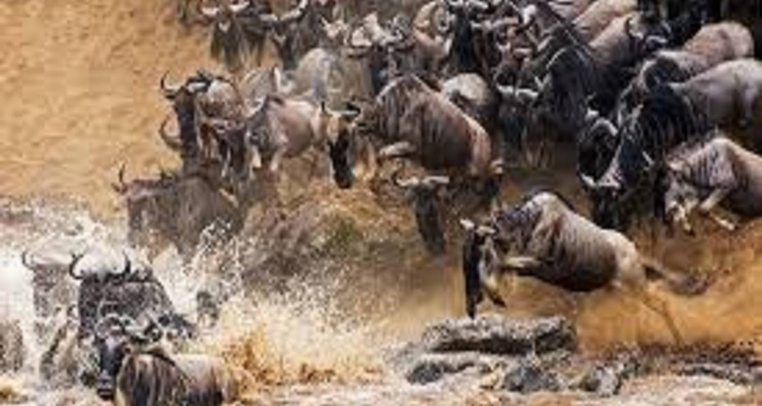 Beste 7 Tage Serengeti Gnu-Wanderung Tansania Safari - Kilingeadventures