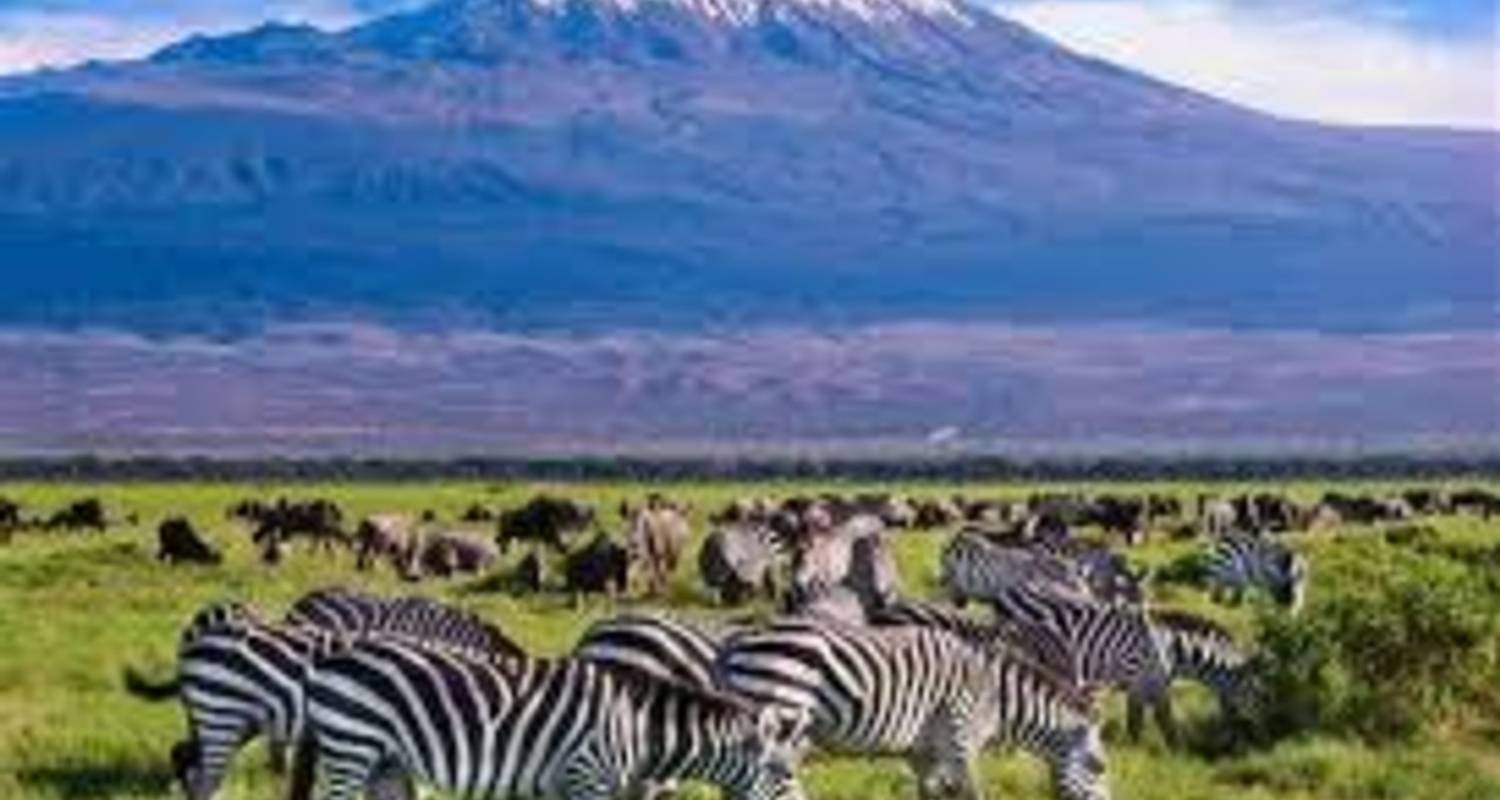 2 Días 1 Noche Parque Nacional de Amboseli - Ngurumah Tours and Travel