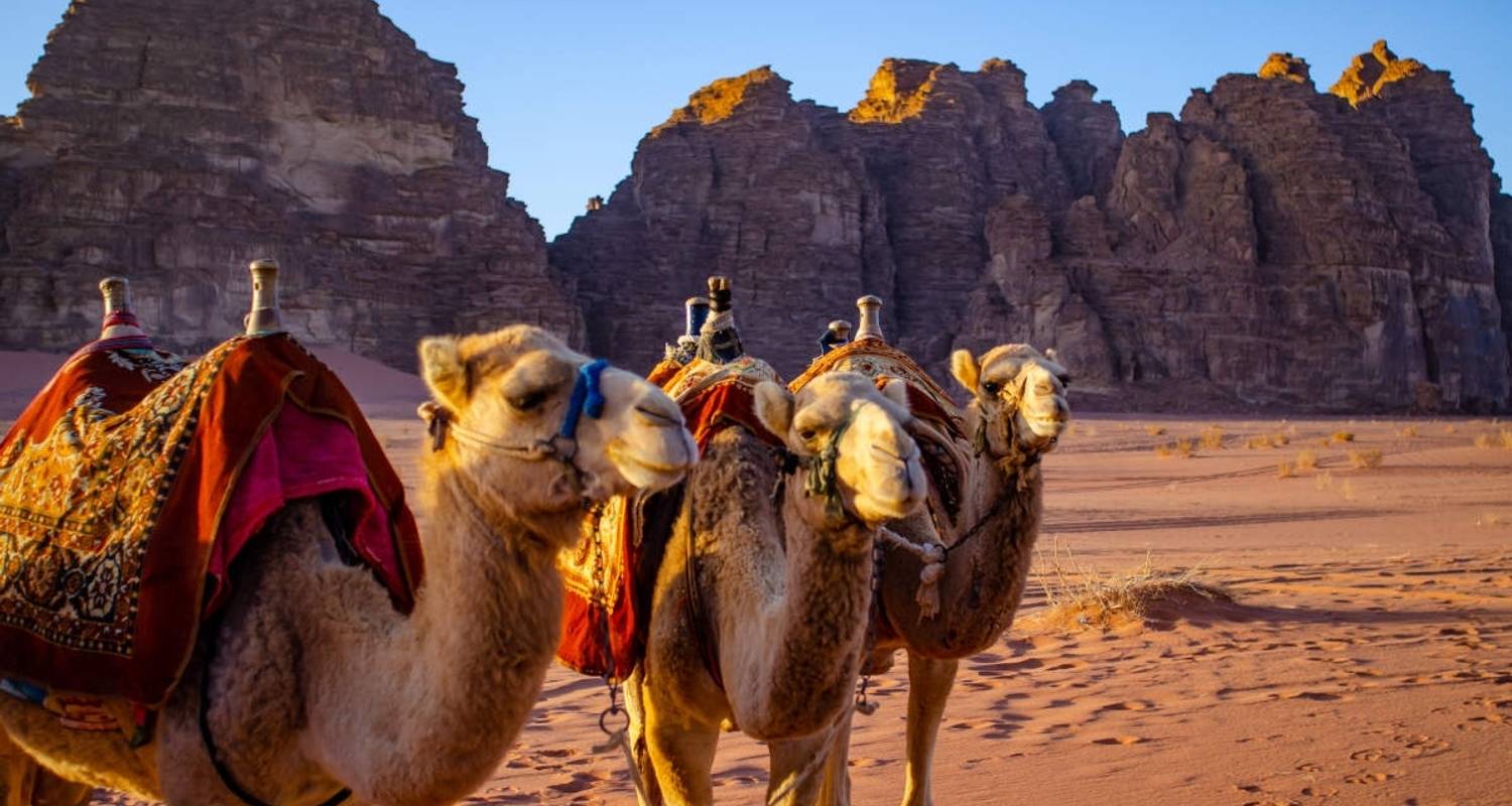 08 Les richesses de la Jordanie : Une expédition de huit jours - Flow Travel and Tourism