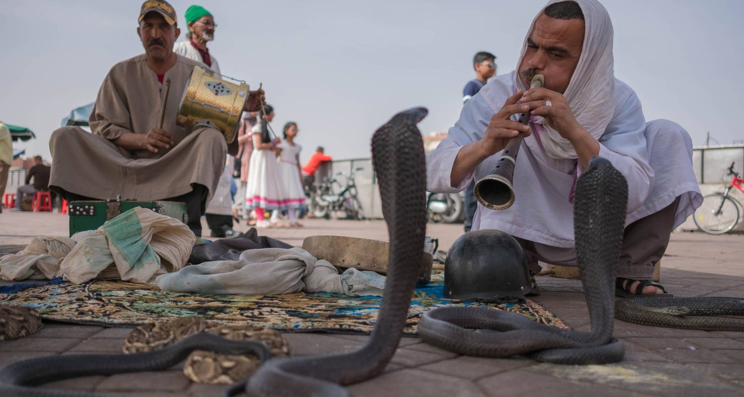 12 daagse rondreis vanuit Casablanca. Hoogtepunten van Marokko. - Best Tours Morocco