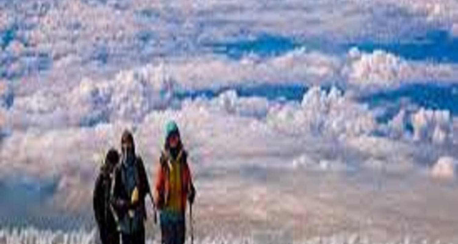 Excursion parfaite d'une journée sur la route du Kilimandjaro et du Lemosho - Kilingeadventures