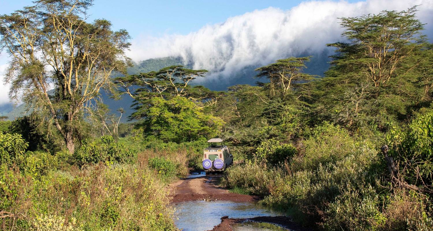 Christmas & New Year Tours in Tanzania and Uganda