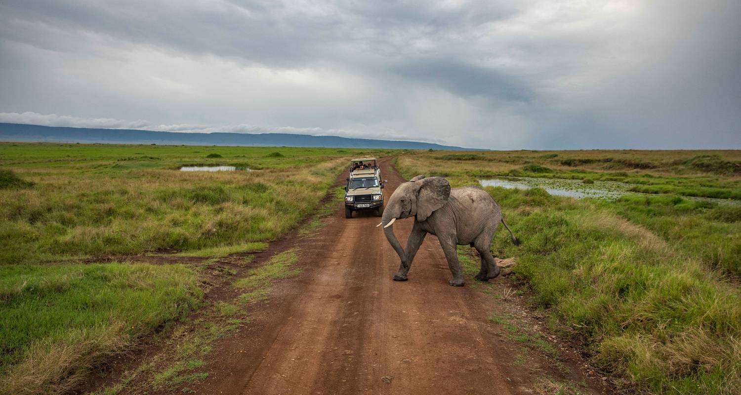 Overland safari van Kenia naar Zimbabwe door G Adventures (Code: DSNL ...