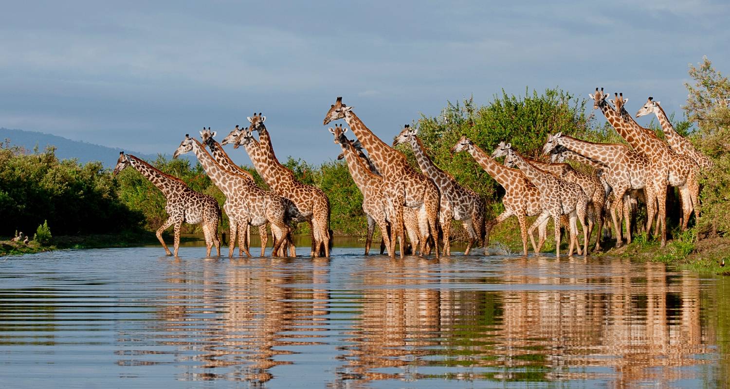 Réserve de Selous Safaris