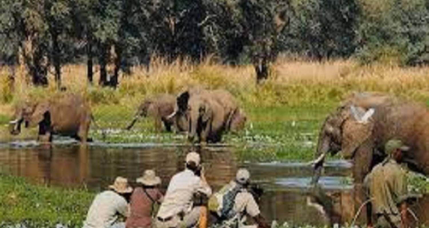 3 Days Tanzania Private Safari Adventures - Kilingeadventures