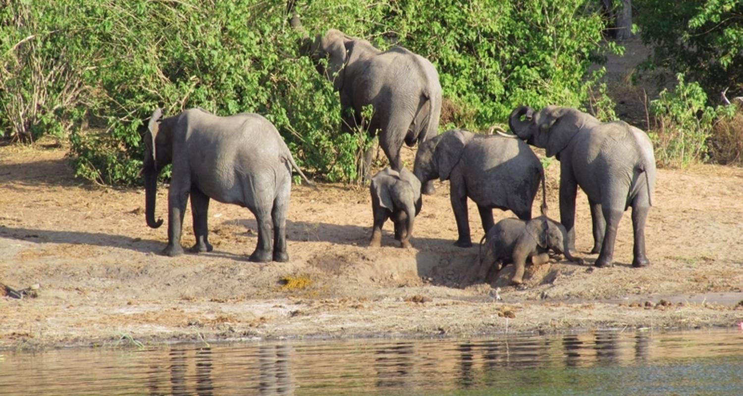 Volledig Begeleid Rondreizen in Chobe Nationaal Park