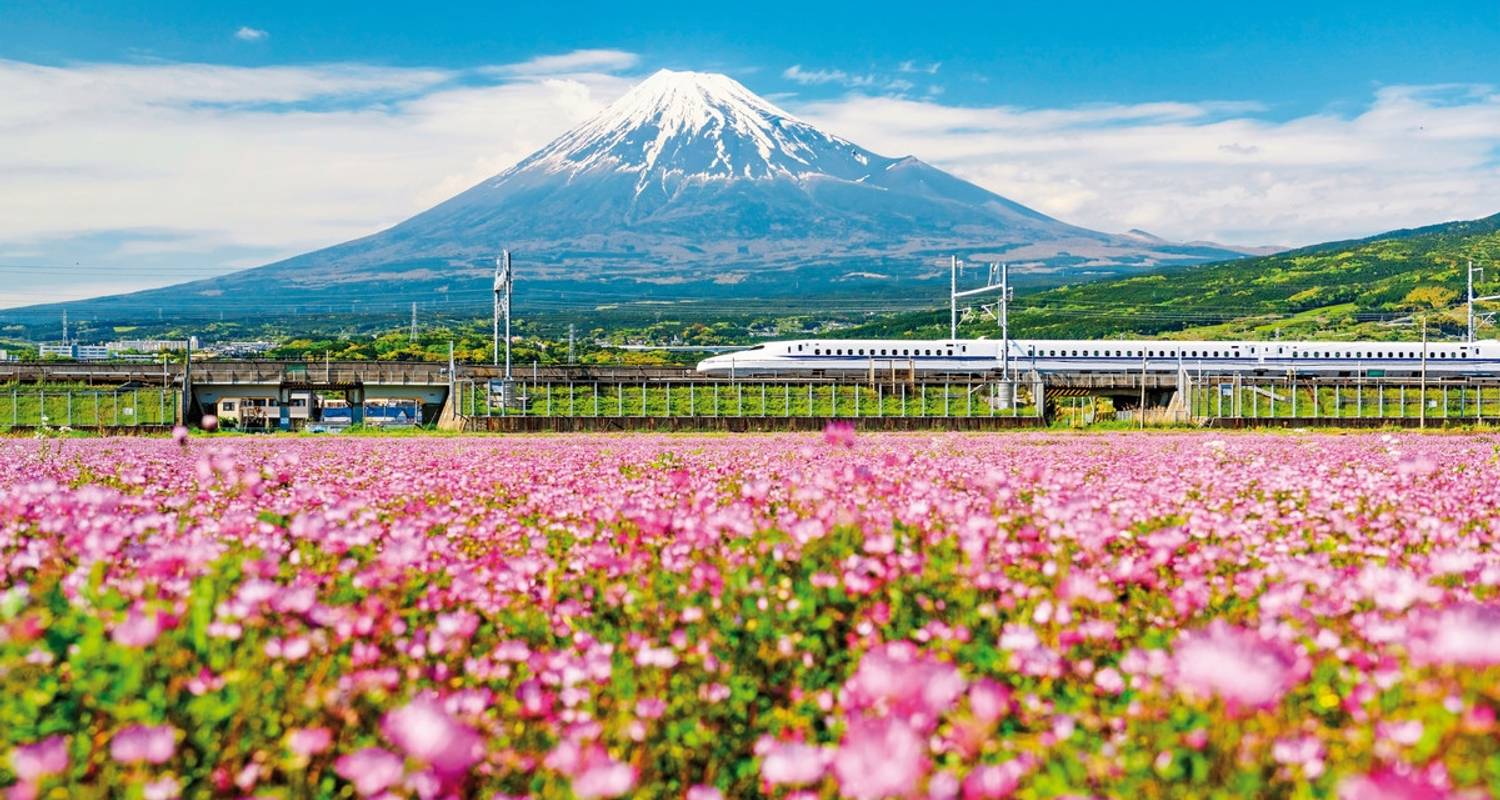 Descubre Taiwán y Japón (vuelo incluido) - MEIERS WELTREISEN