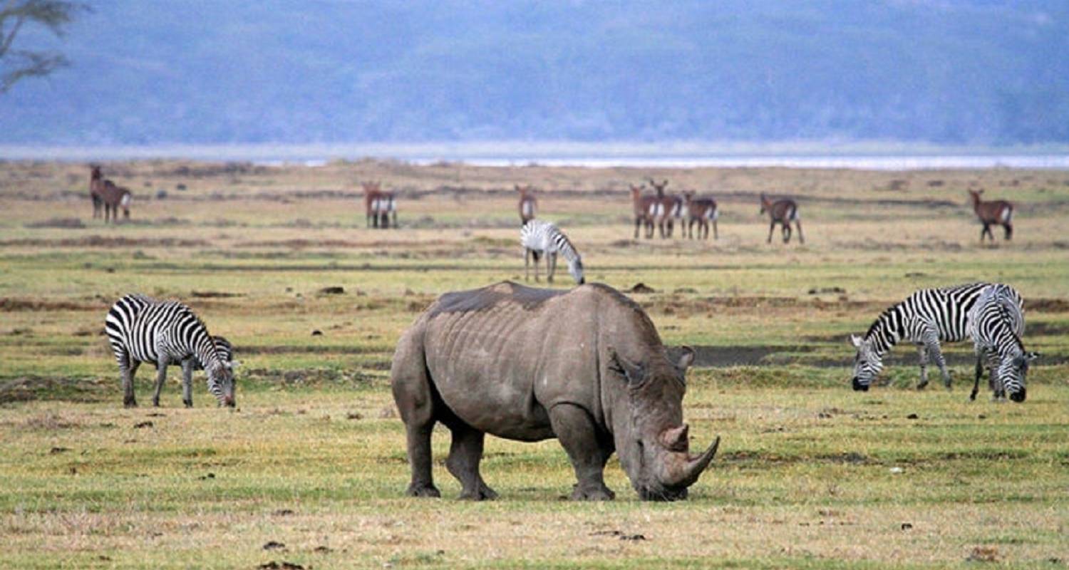 Arusha to Arusha National Park Tours