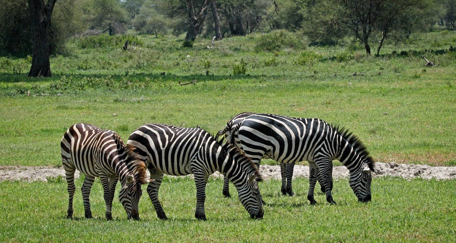 10 Days Tanzania Wilderness Expedition - Serengeti Access Safaris