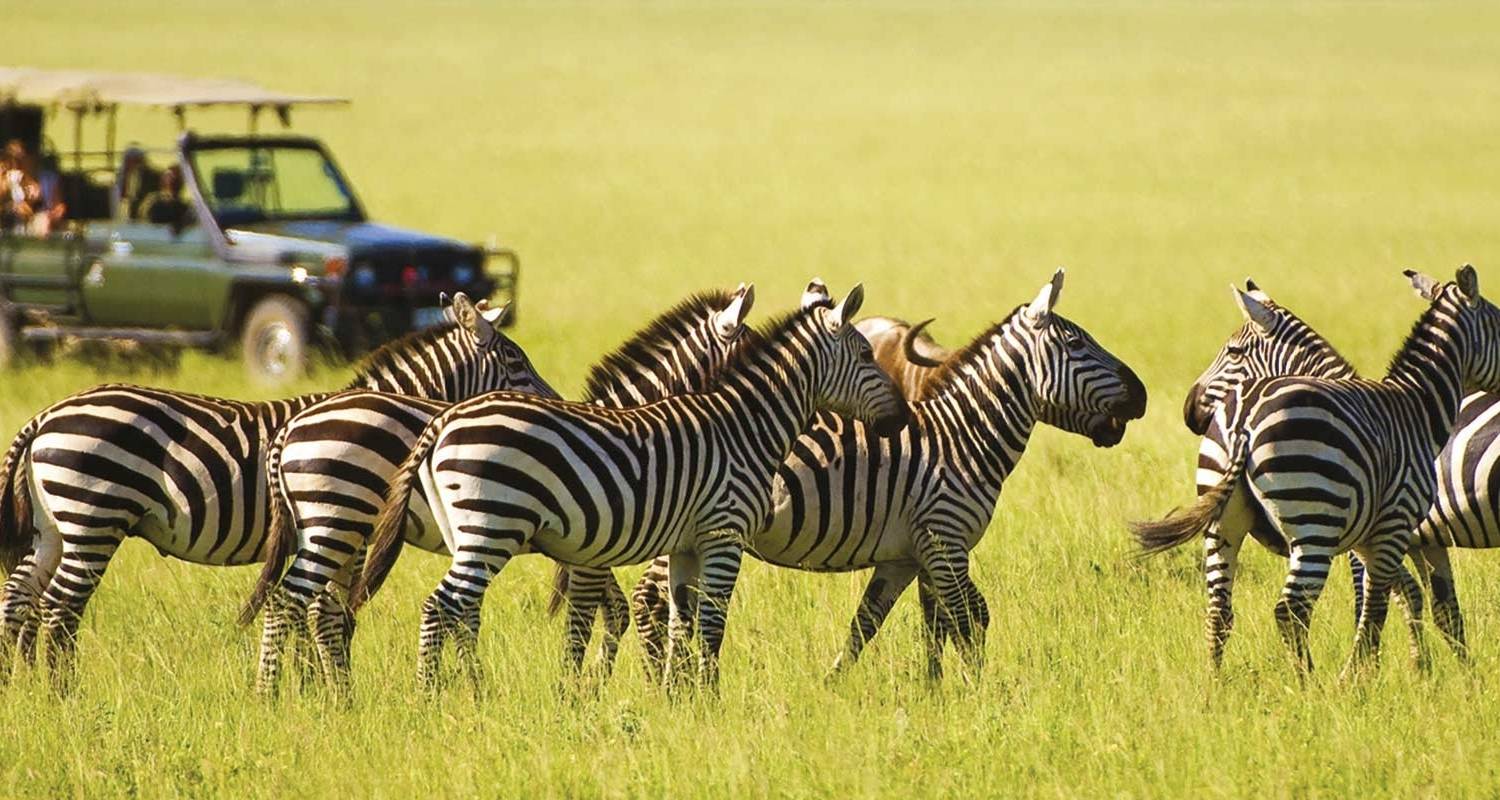 Kenia Entdeckungsreise - Scenic Luxury Cruises & Tours