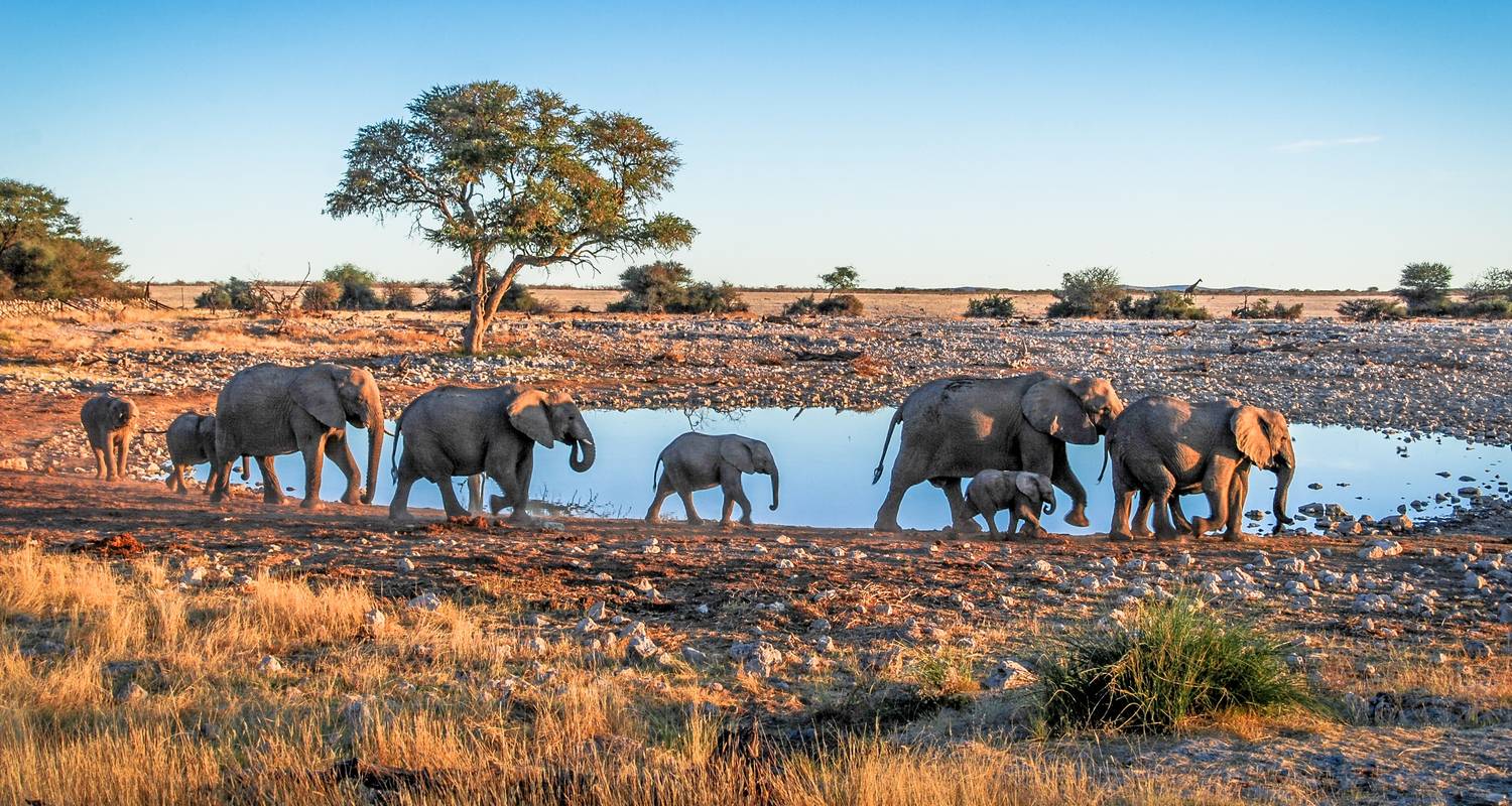 14 días de maravillas naturales en Namibia, Botsuana y Zimbabue - Oasis Travel