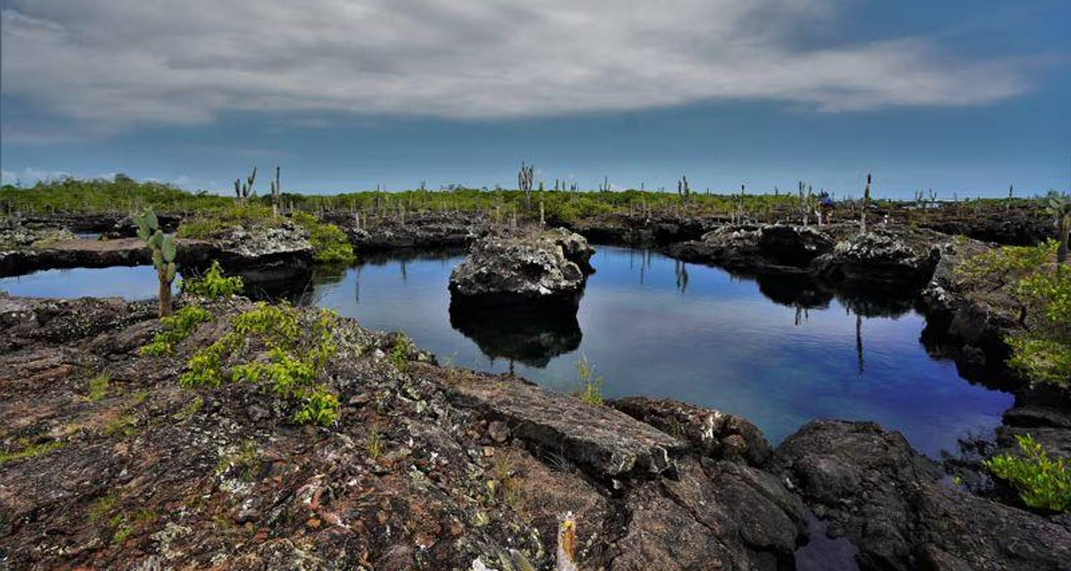 De essentie van de Galapagos - Encounters Travel