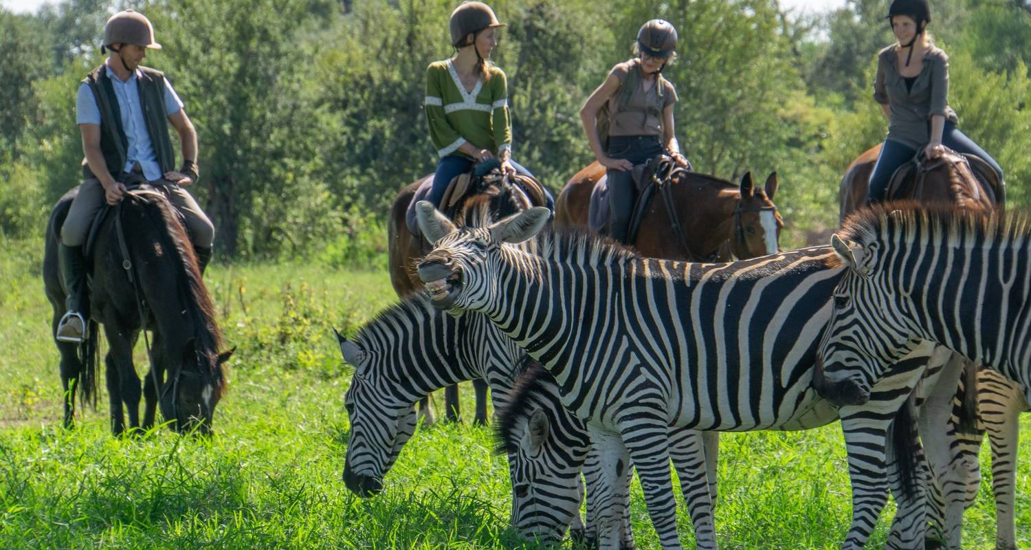 Onvergelijkbare Zuid-Afrika safari - T.S TOURS