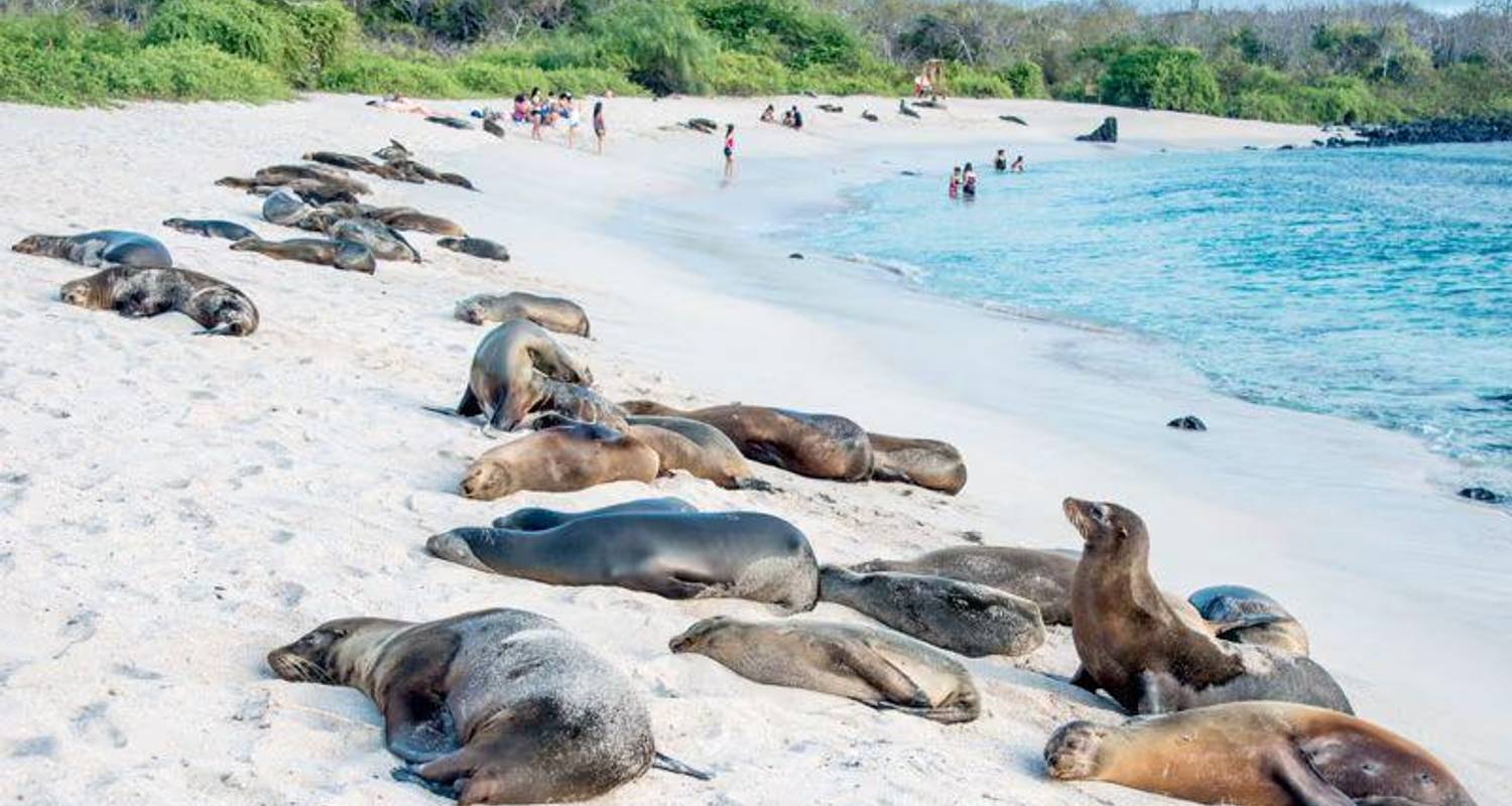 Galapagos aufgedeckt - Encounters Travel