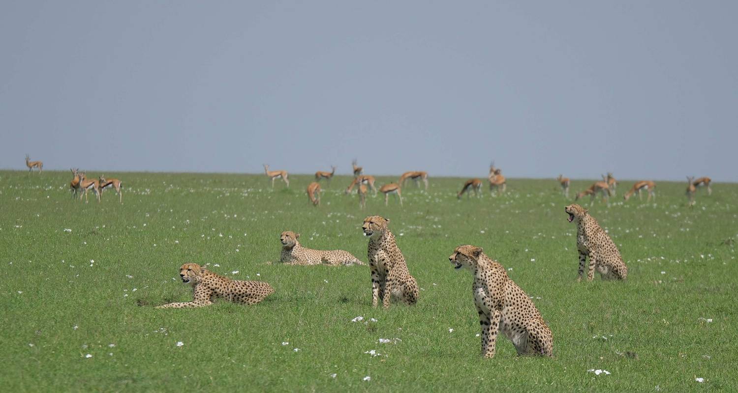 Circuits et voyages Circuit nord de la Tanzanie au départ de Zanzibar