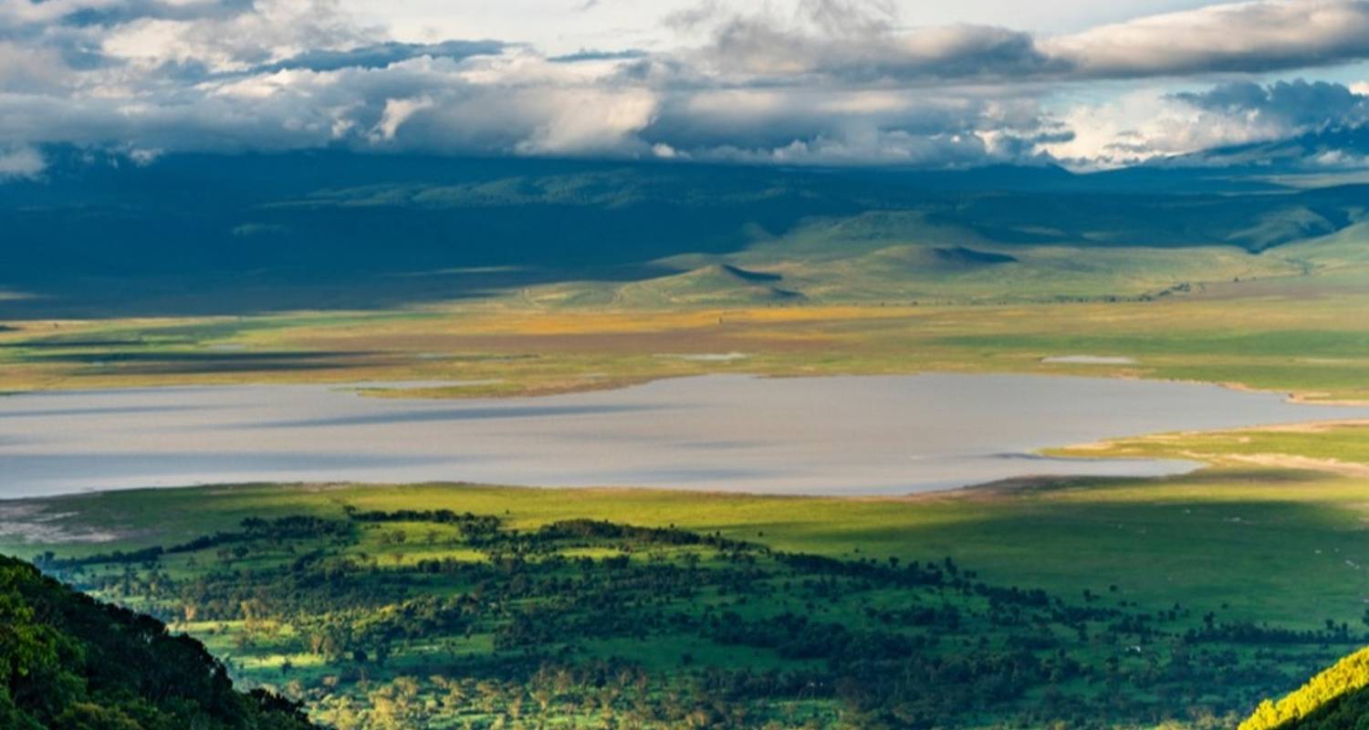 3 jours de safari remarquable au Serengeti et au Ngorongoro - Professional Safari Africa