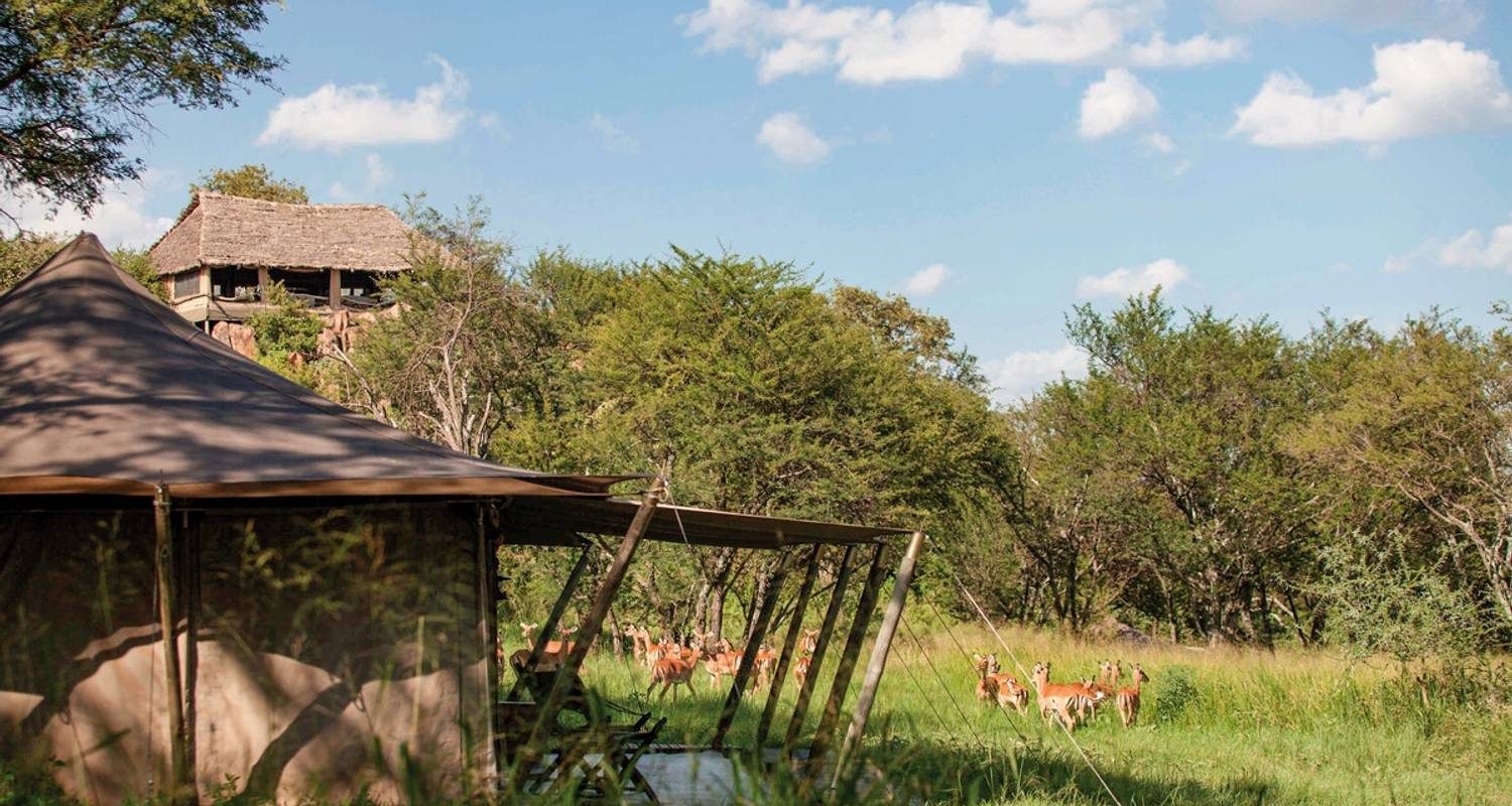 Elewana Sky Safari Tansania - DERTOUR