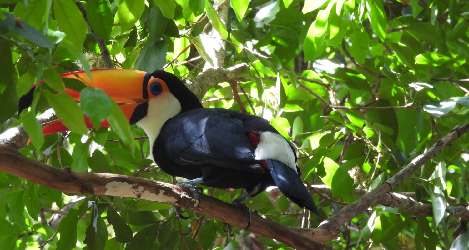 8 Dagen Paraguay en Brazilië: Chaco en Pantanal - Ecuador Galapagos Travels