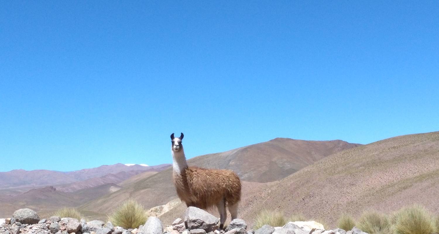 Tolar Grande: Volcanes y Desiertos de Sal - Mater Sustentable