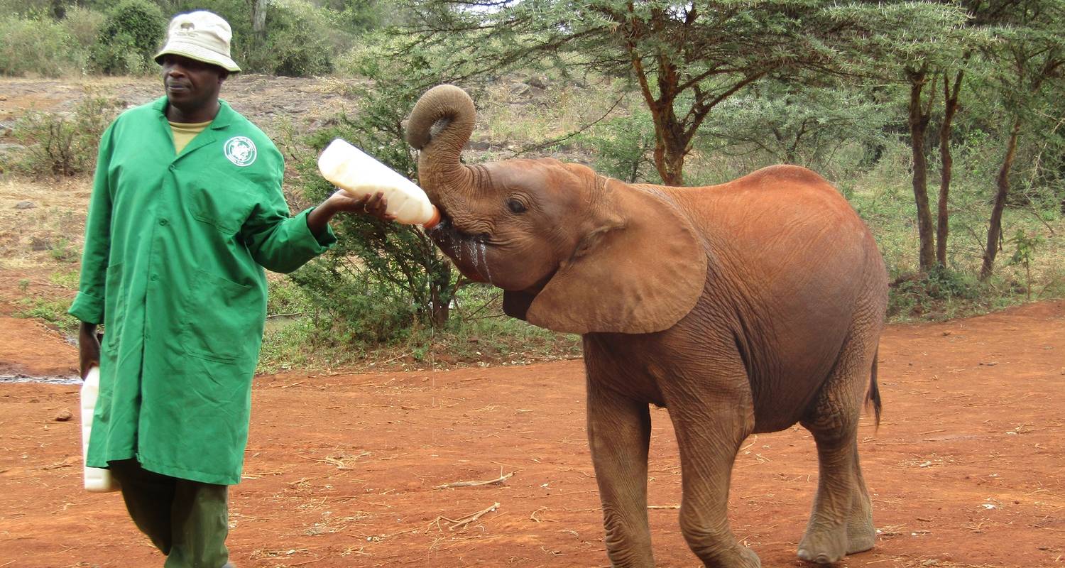 Rundreisen von Kilimandscharo nach Arusha