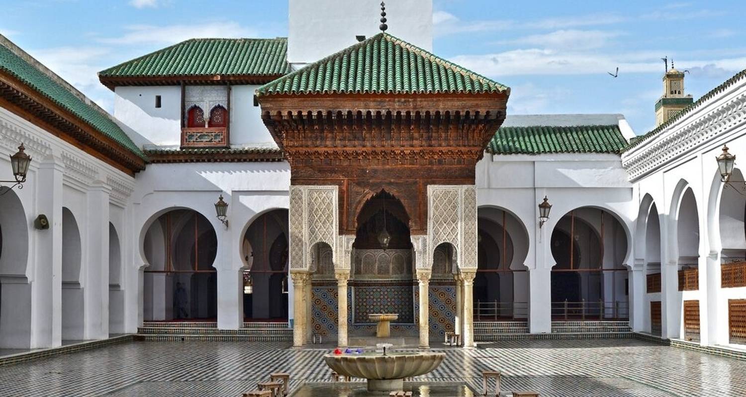 Excursión privada de un día de Meknes a Fez con guía oficial - Omega Tour