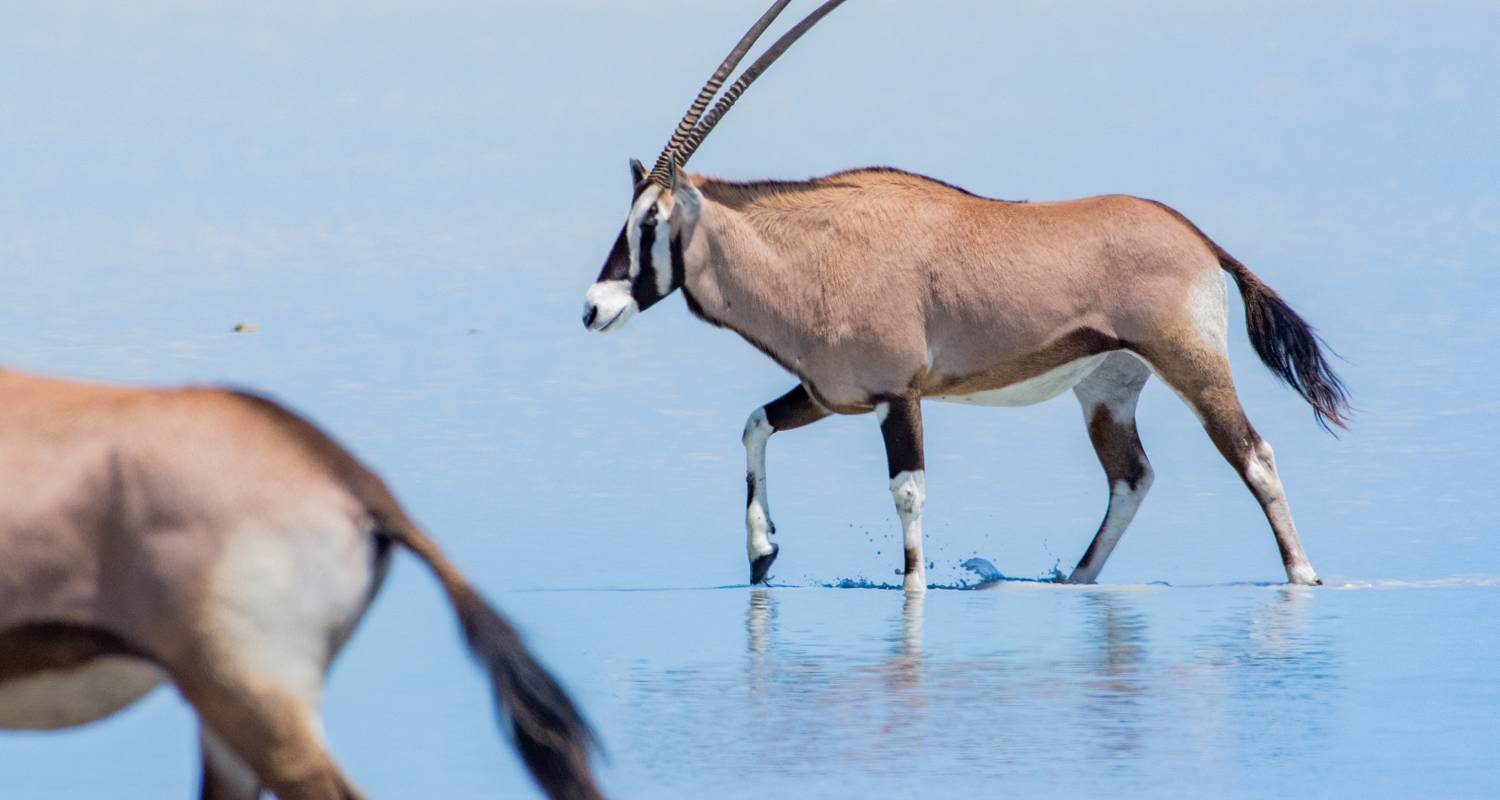 Christmas & New Year Tours & Trips in Sossusvlei