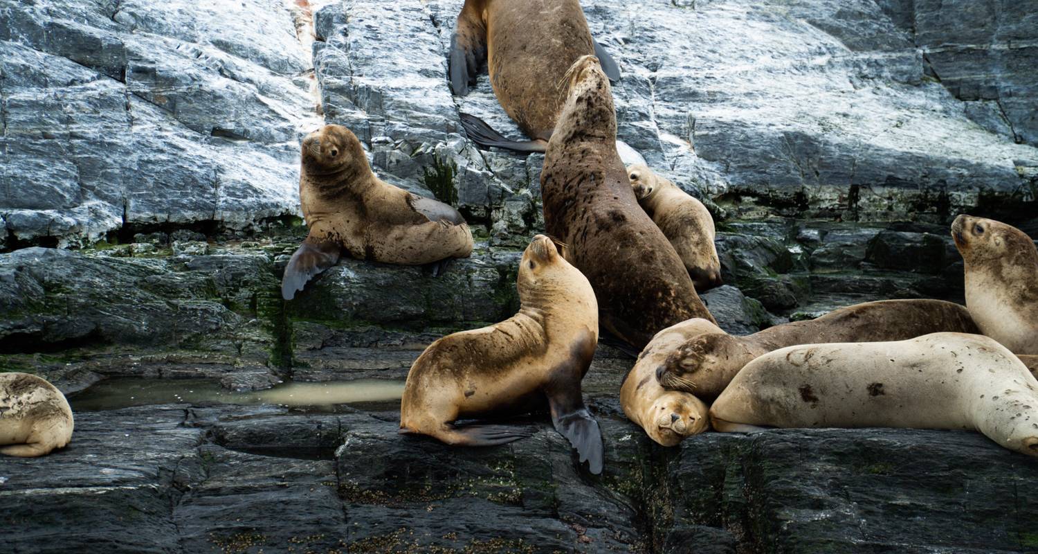 Patagonien: Am Rande der Welt mit Argentinien, Chile und einer 4-Nächte-Patagonien-Kreuzfahrt (2025) - Collette