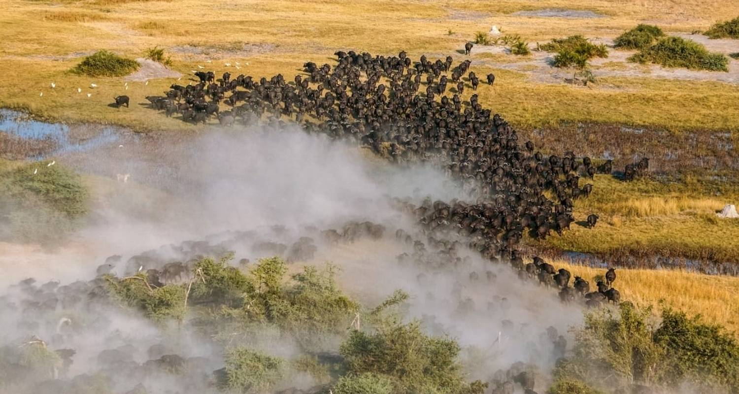 Luxus-Abenteuer: Das Beste von Kenia & Tansania - Professional Safari Africa