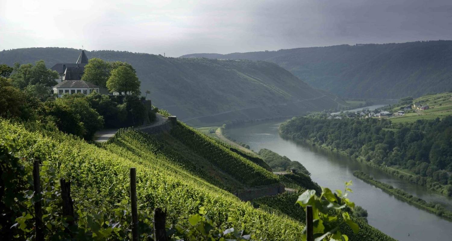 Moselle river biketour | Luxembourg to Koblenz | 6 days