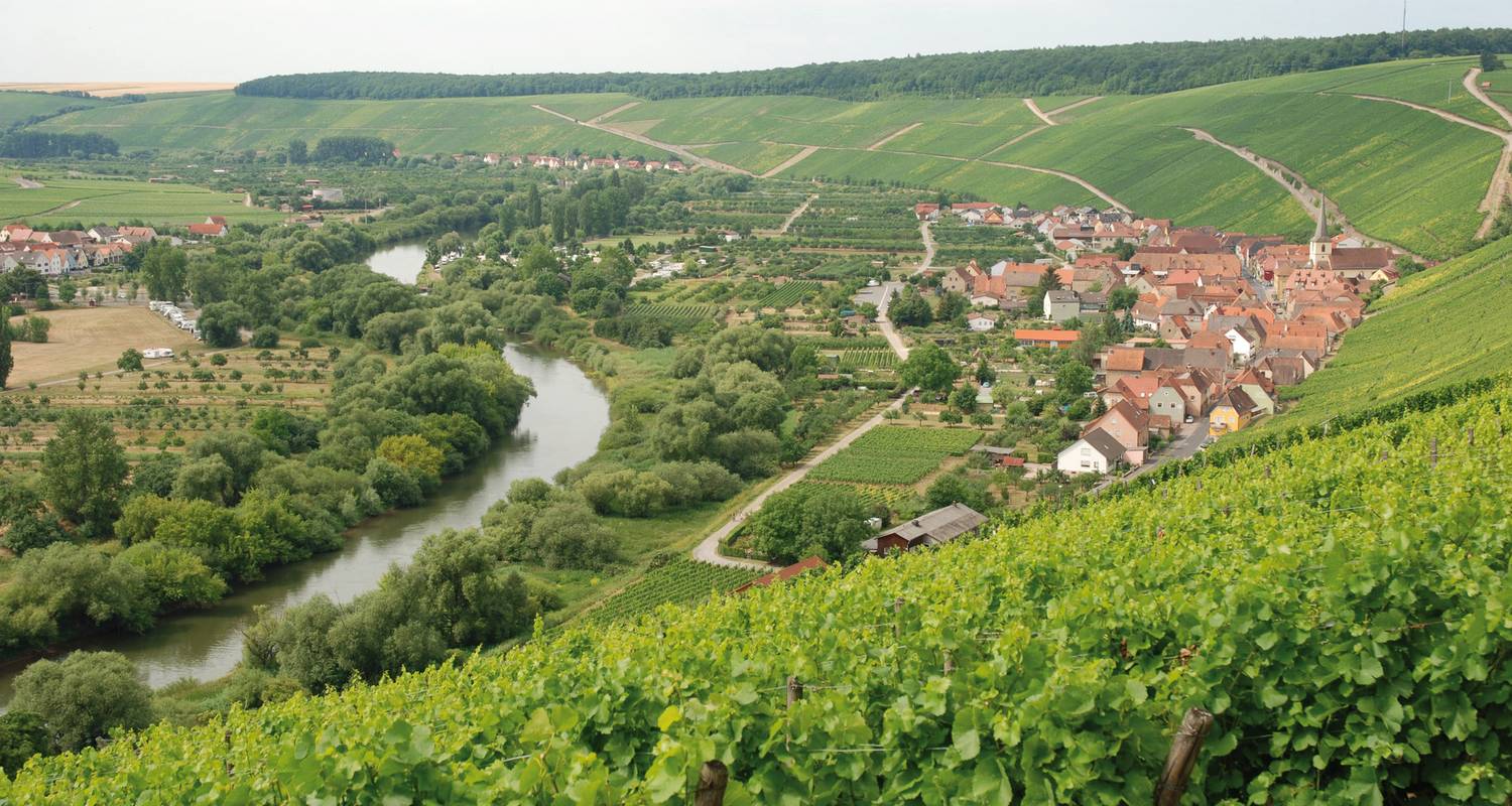 Main River biketour | Würzburg to Frankfurt