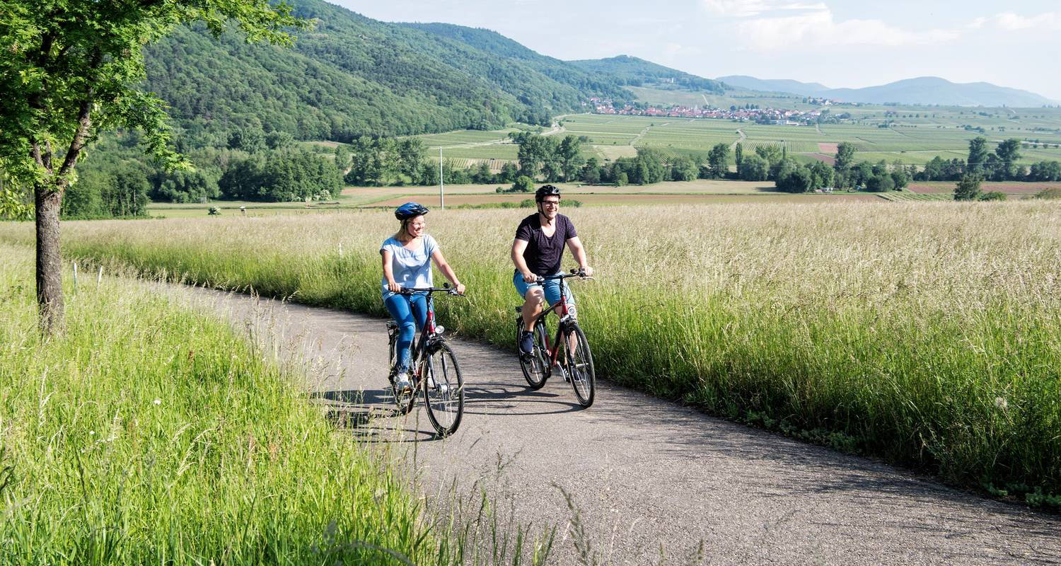 Wine regions Rheingau and Palatinate | Germany | 8 days