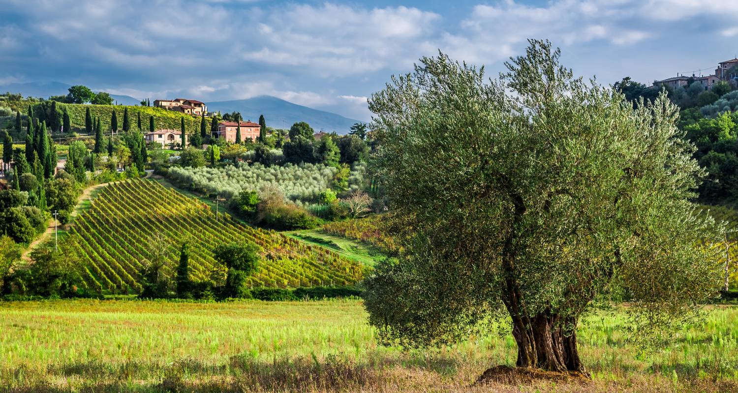 Tuscany guided-Ebiketour | Italy: Highlights of southern Tuscany & Elba | 8 days - Terranova Touristik