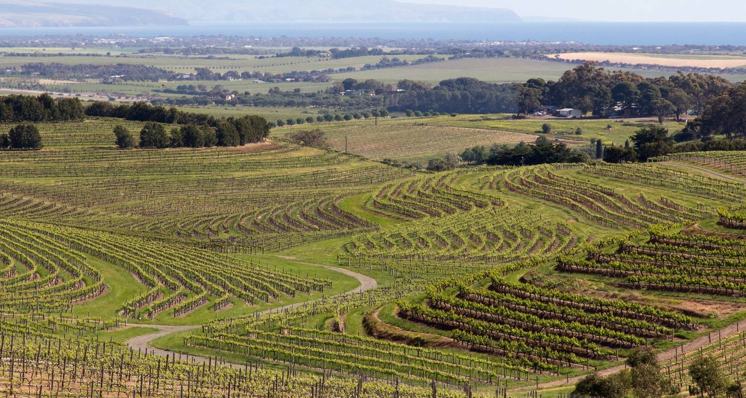 Adelaide Tours & Trips