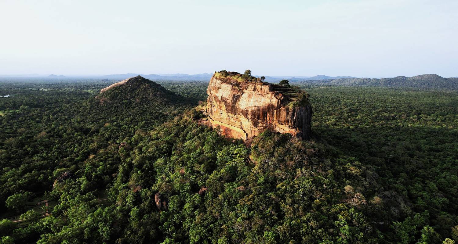 Gran Descubrimiento de Sri Lanka - Exotic Perla