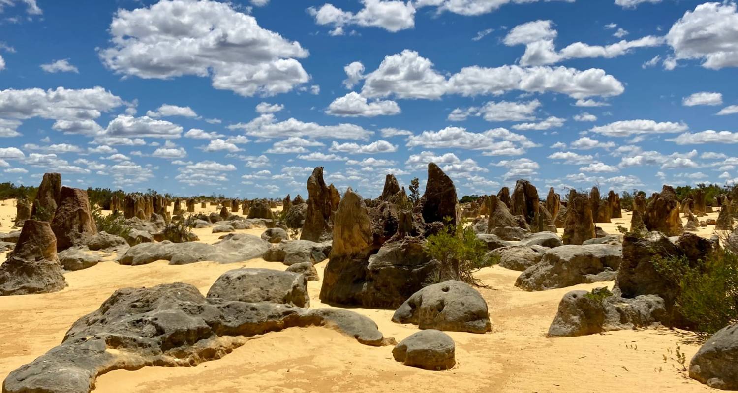 Pinnacles dagtocht - WA NT TOURS