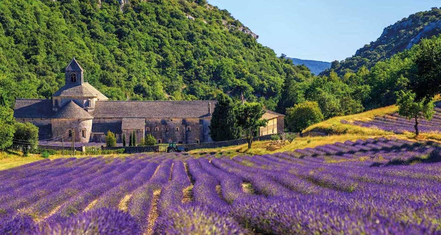 Provence guided-Ebiketour | France: A Sea of Colors | 8 days - Terranova Touristik