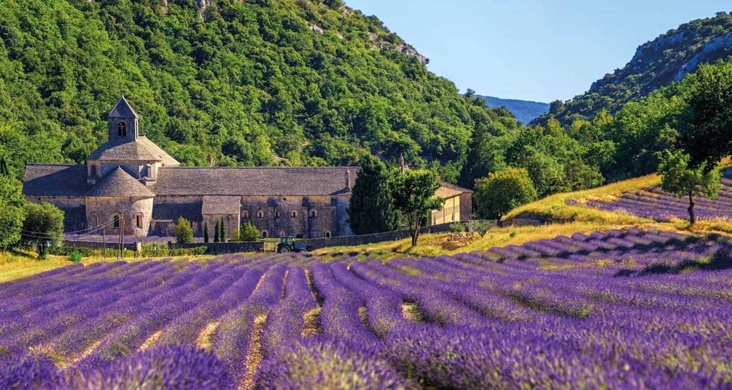 Fully Guided Tours & Trips in Provence