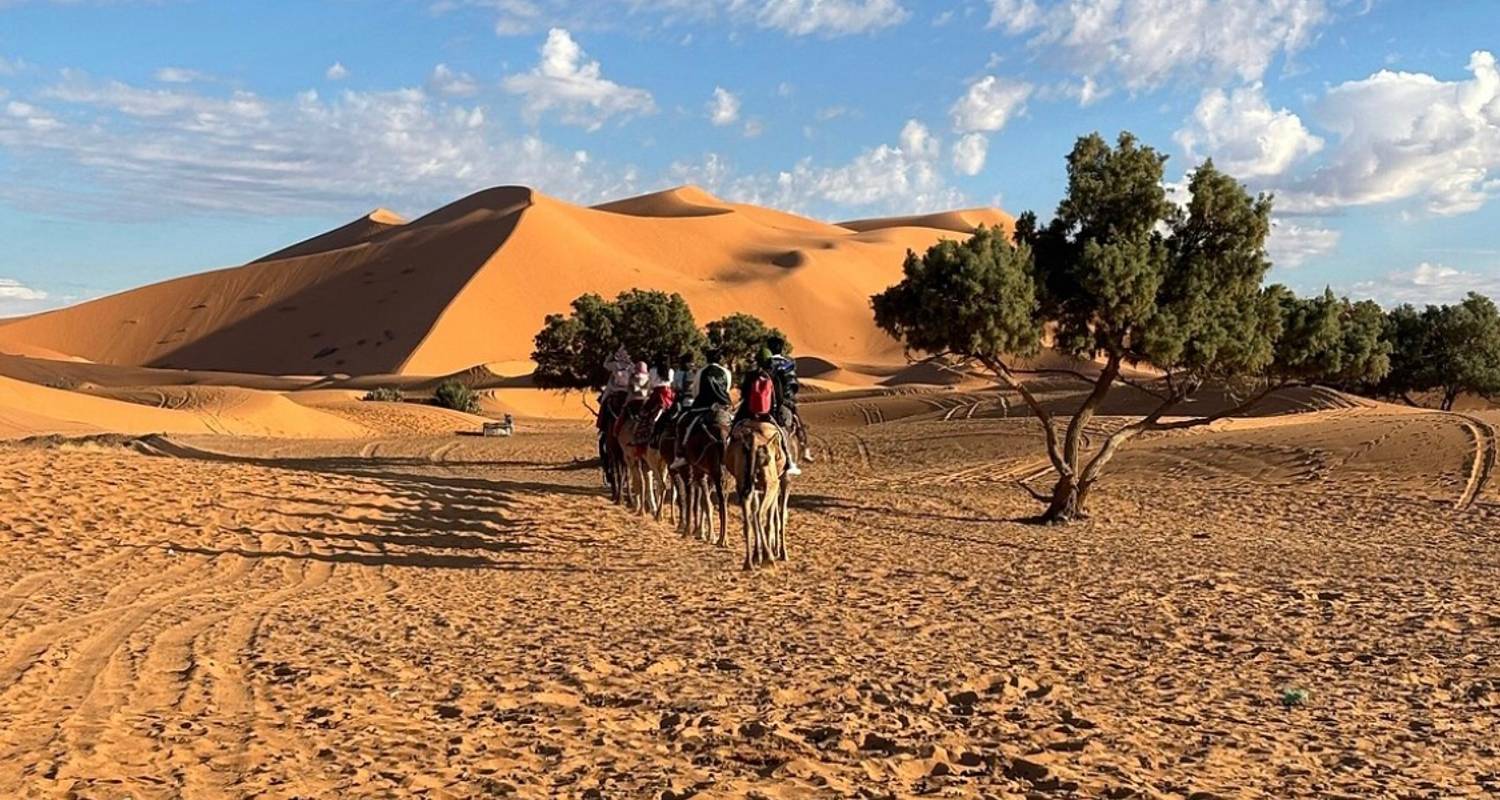 Privates 4 Tage Sahara-Wüstenabenteuer: Hin- und Rückfahrt ab Marrakesch - Morocco Flawless Travels