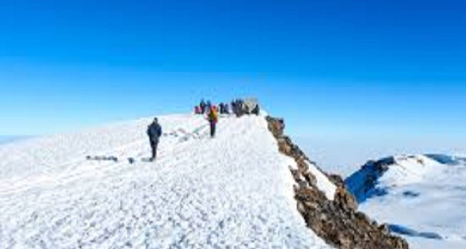 Le plus haut sommet du Kilimandjaro : excursion d'une journée à Marangu - Kilingeadventures