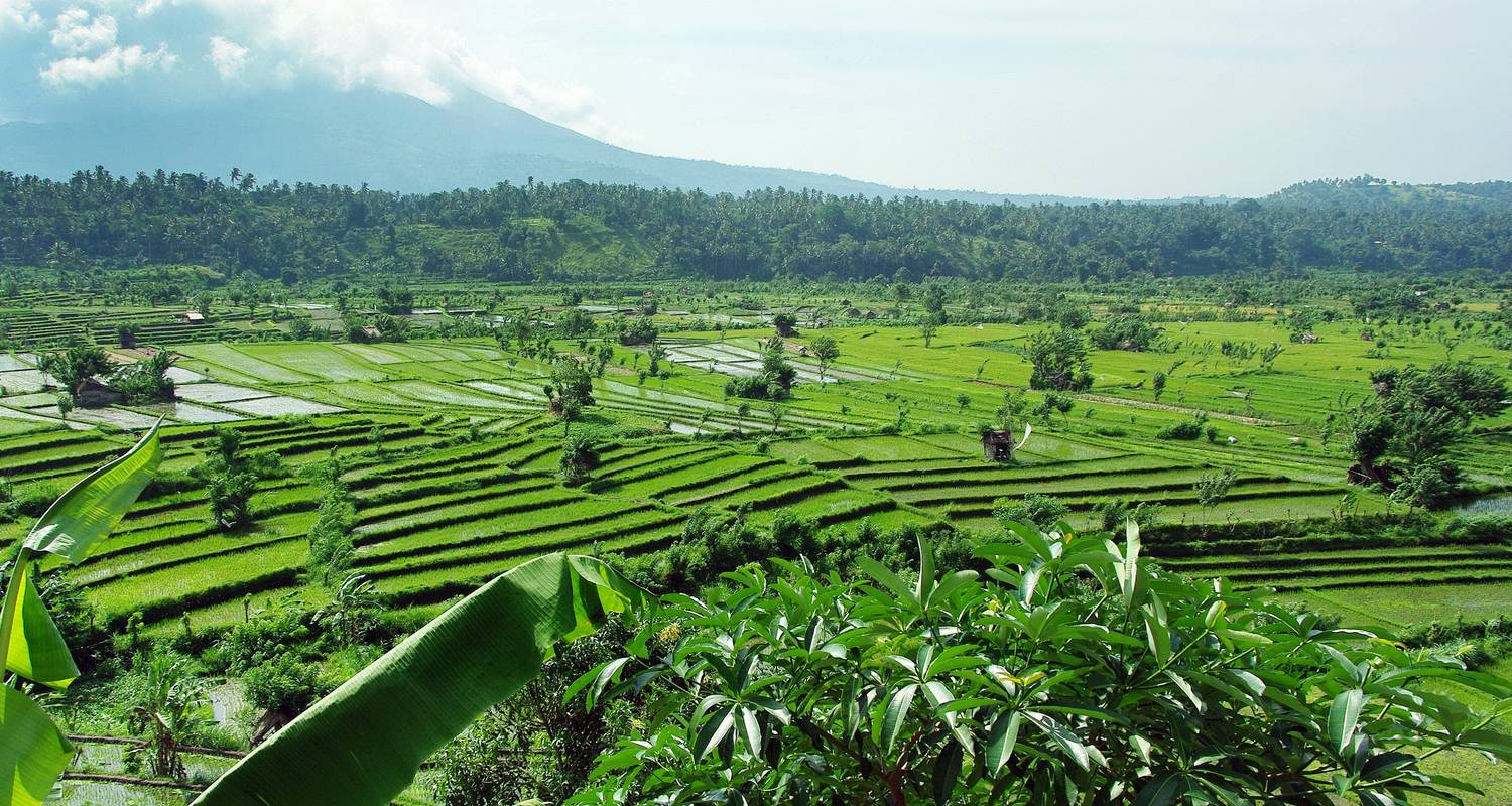 Volledig Begeleid Rondreizen in Java