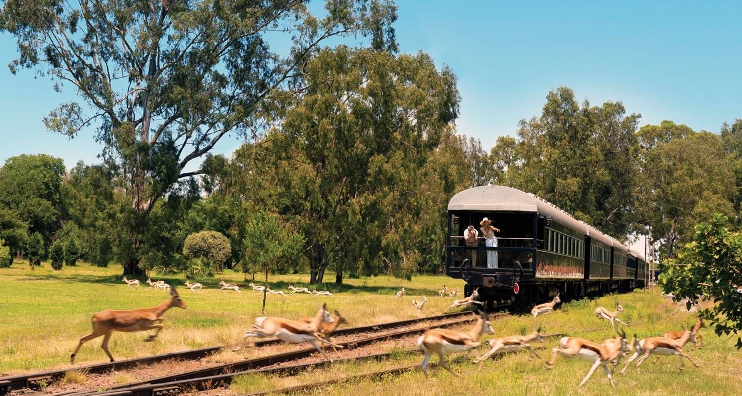 Train & Rail Tours in South Africa