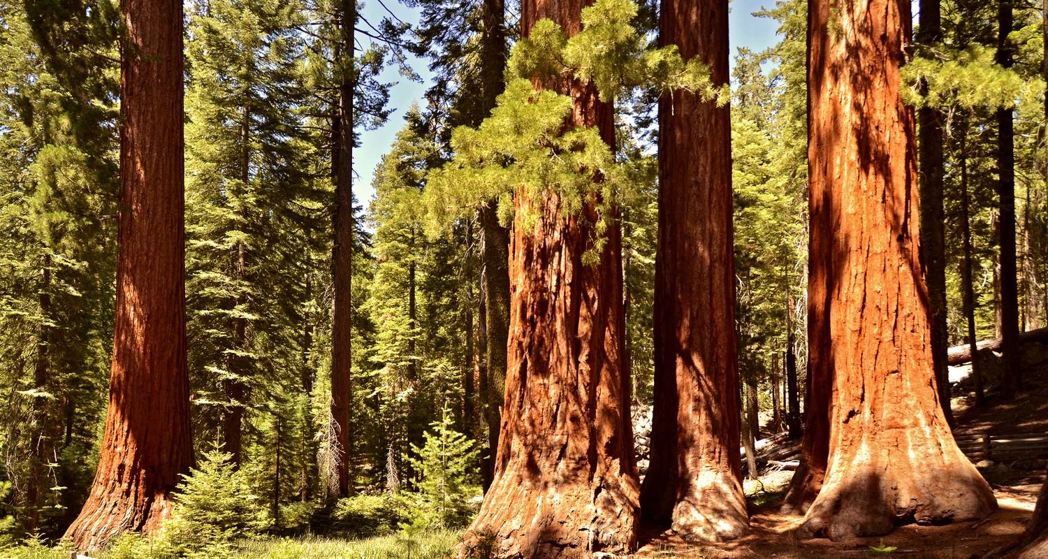 Best 10 day Tours from Los Angeles